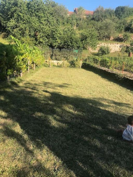 Grande Maison A Semur En Plein Coeur Historique Villa Bagian luar foto