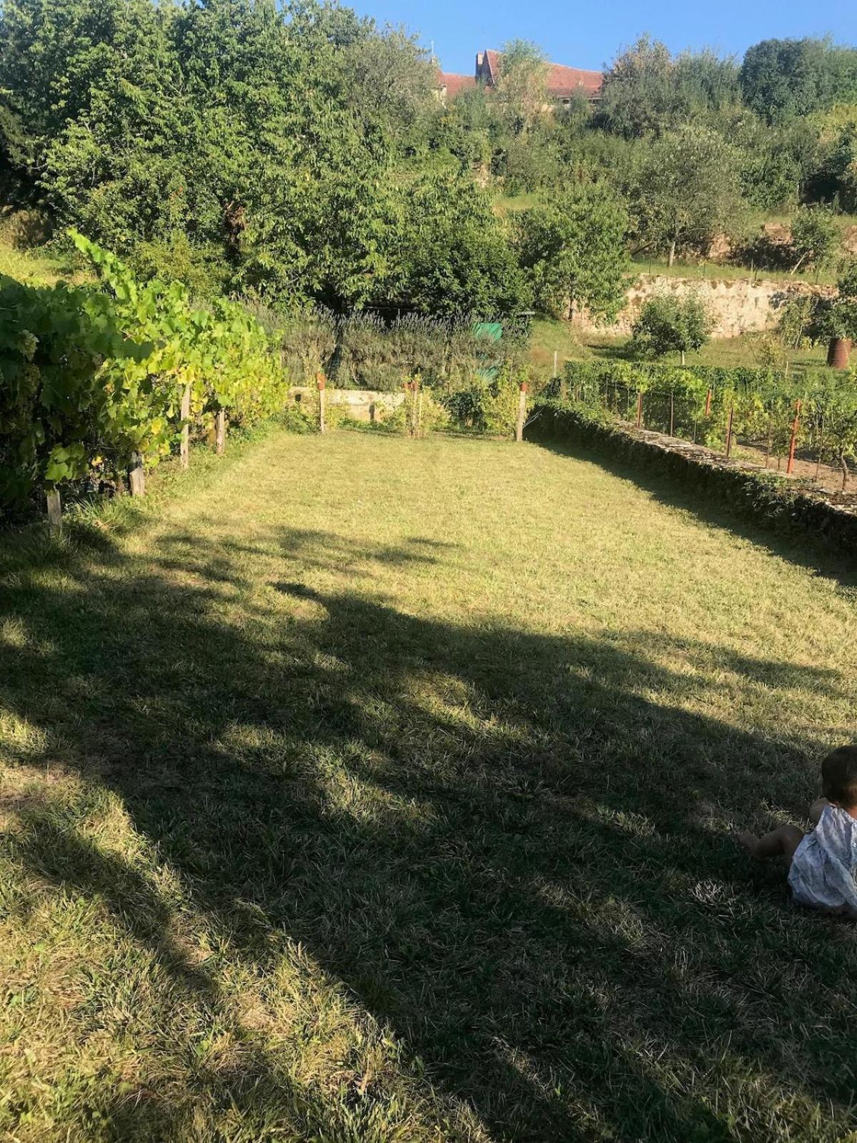 Grande Maison A Semur En Plein Coeur Historique Villa Bagian luar foto