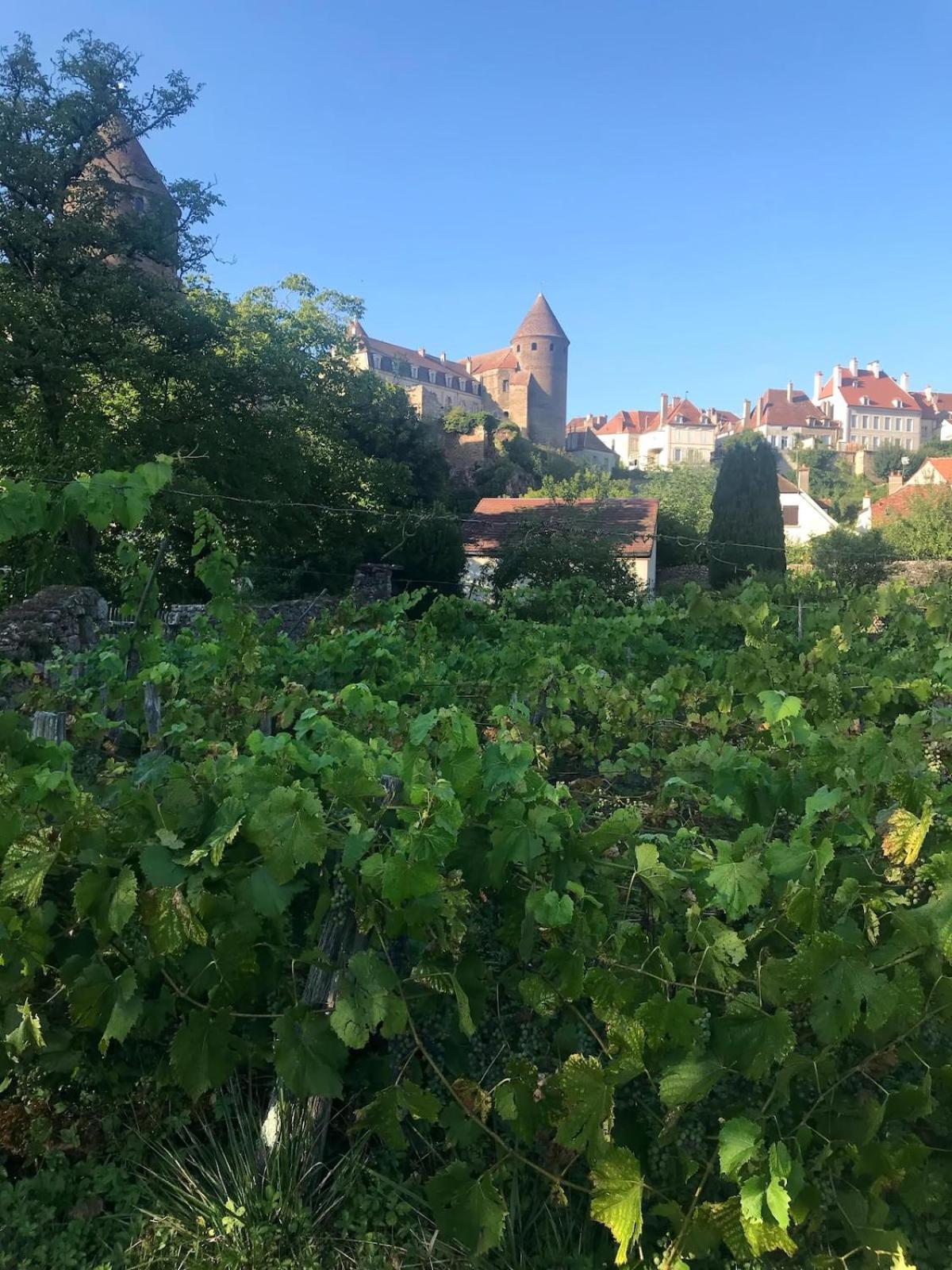 Grande Maison A Semur En Plein Coeur Historique Villa Bagian luar foto